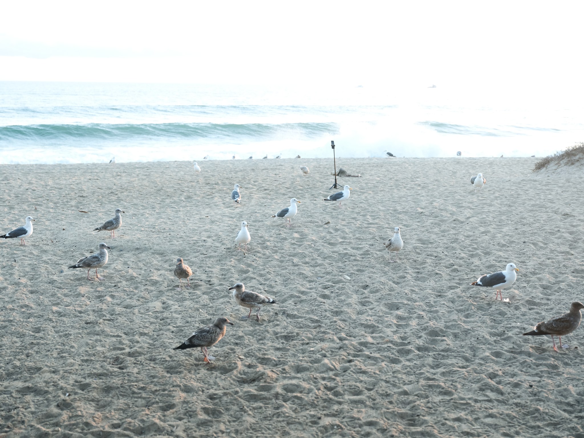 Malibu Girls Retreat — event photograph 49