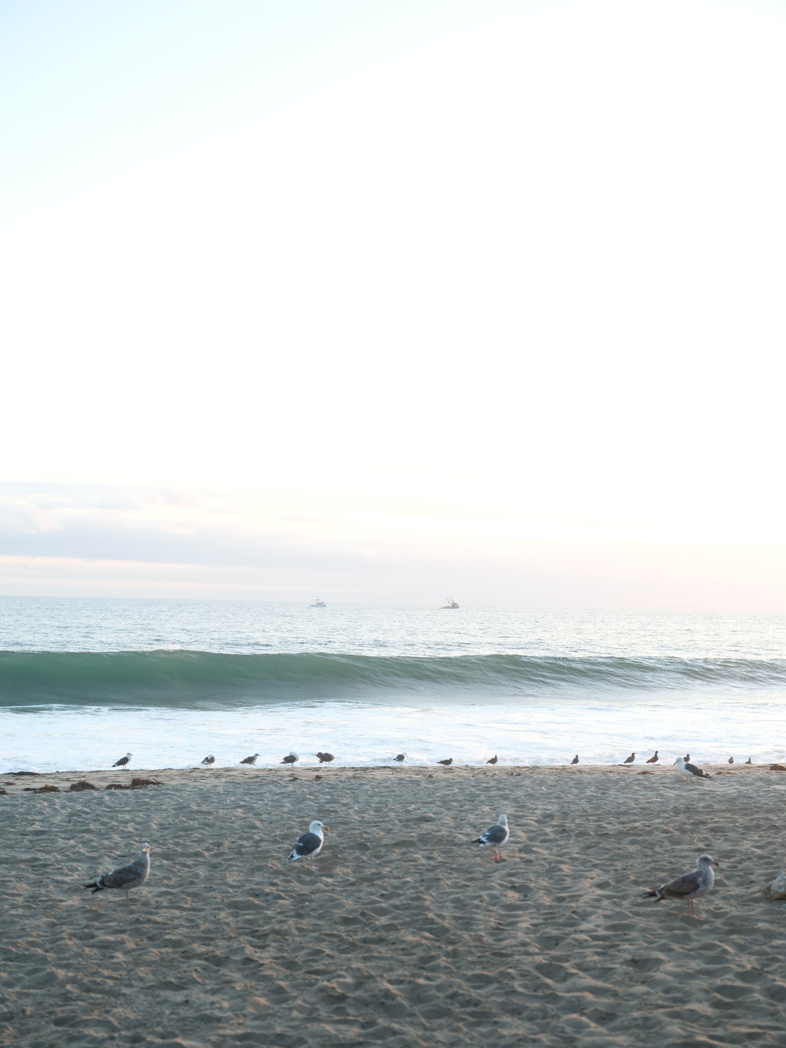Malibu Girls Retreat — event photograph 51